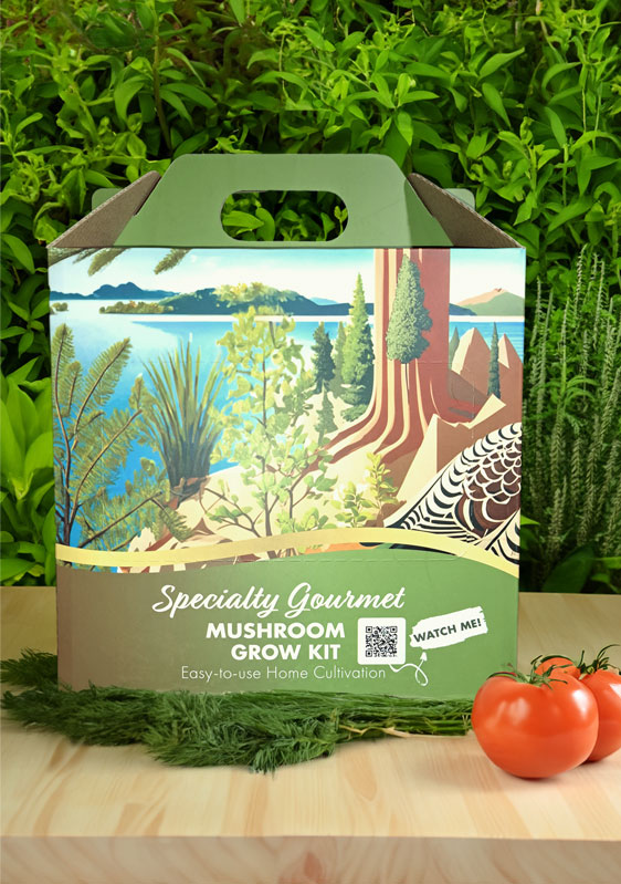 Front view of the Mushrooms Reach grow block packaging.