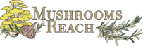The Mushrooms Reach logo, featuring the brand’s design and typography.
