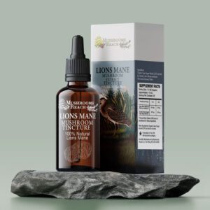 Mushrooms Reach branded box with Lion’s Mane tincture bottle placed on a rock