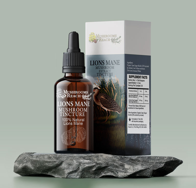 Mushrooms Reach branded box with Lion’s Mane tincture bottle placed on a rock