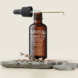 Turkey Tail Tincture from Mushrooms Reach – Immune-Boosting Mushroom Extract