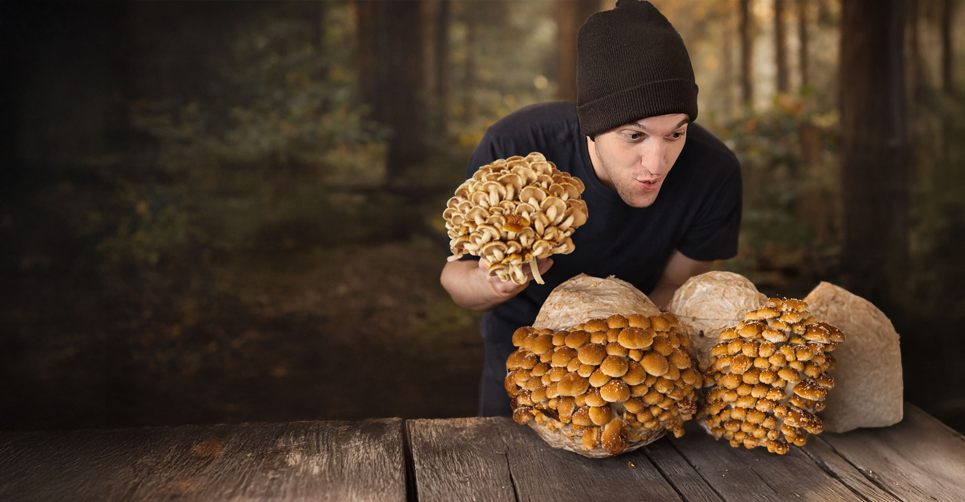 Sautéed Lion’s Mane mushrooms served on a plate with greens and almond garnish on a rustic wooden table.