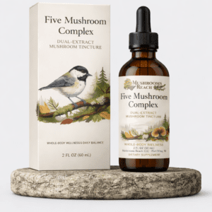 Five Mushroom Complex dual-extract mushroom tincture bottle and box on a stone platform